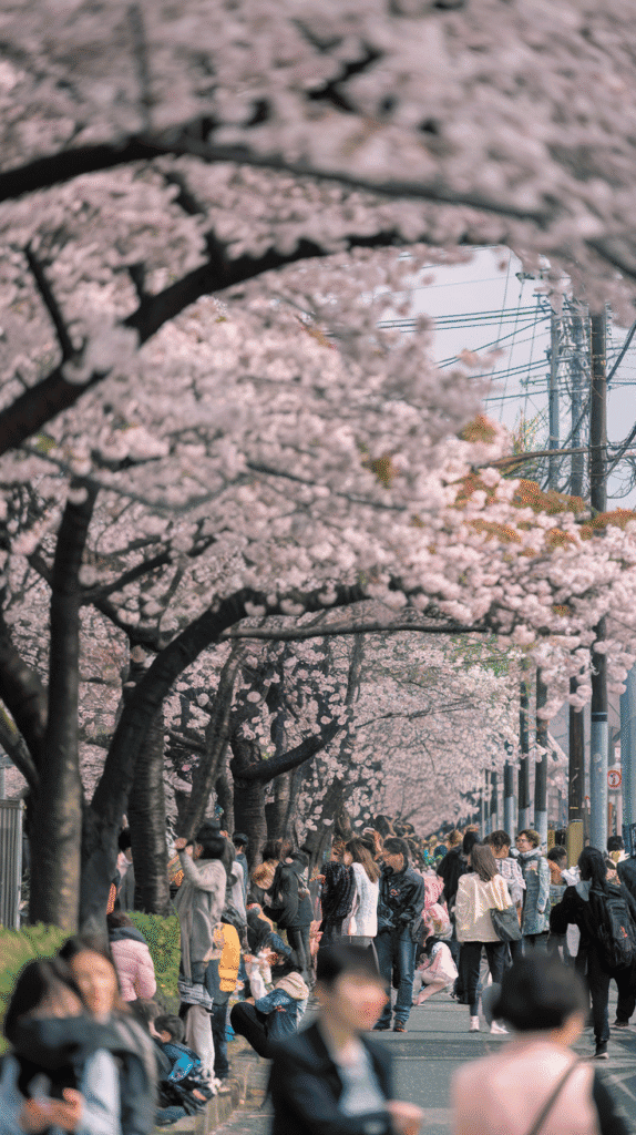 Where to Go in the Off-Season: Japan in winter is serene and magical. Visit onsen towns.