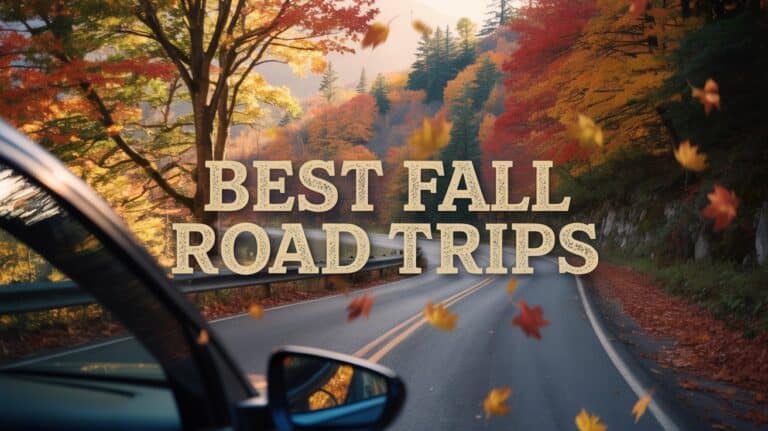 Time for Road Trips